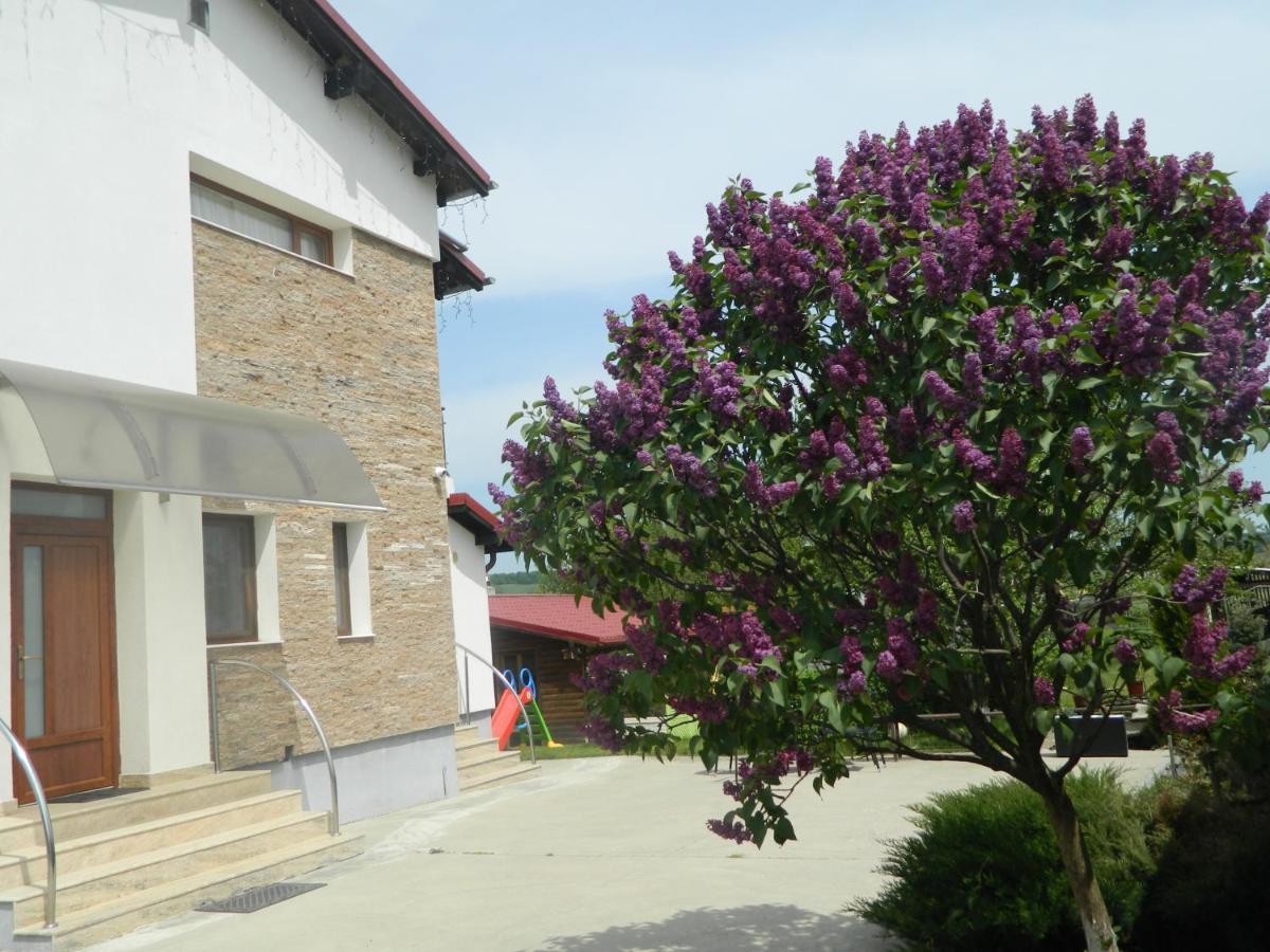 Mirana-Marginimea Sibiului Hotel Cristian  Exterior foto